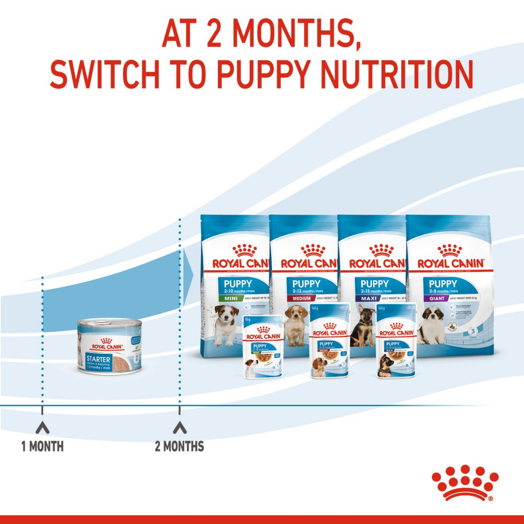 Royal Canin Canine Health Nutrition Starter Mousse (WET FOOD – Cans) 12 x 195g