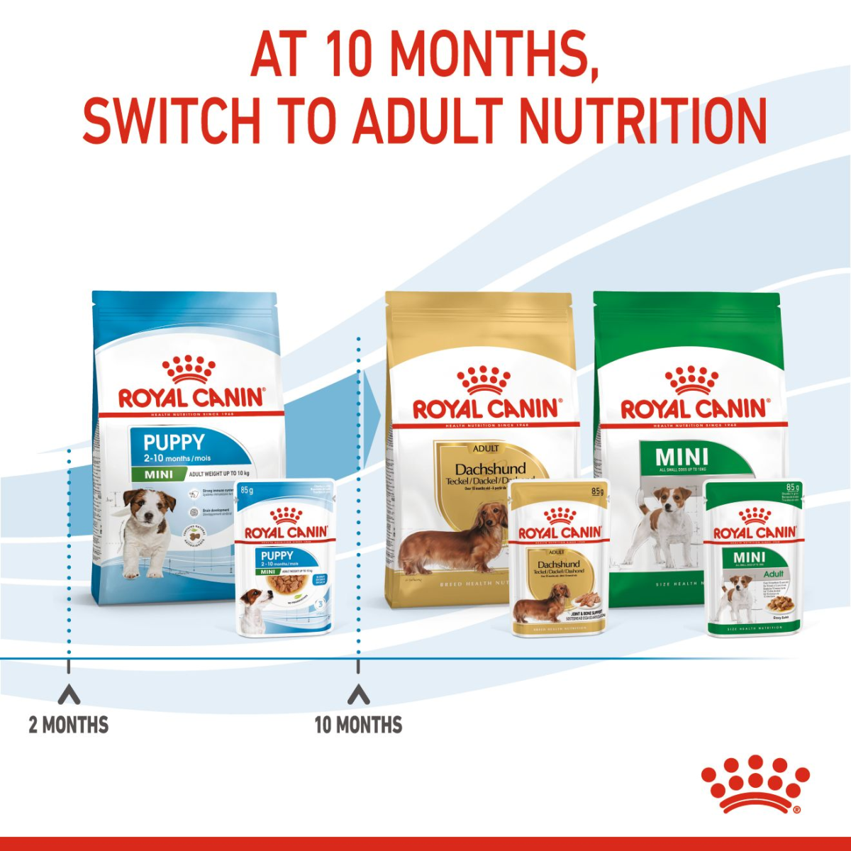 Size Health Nutrition Mini Puppy (WET FOOD – Pouches) 12 x 85g