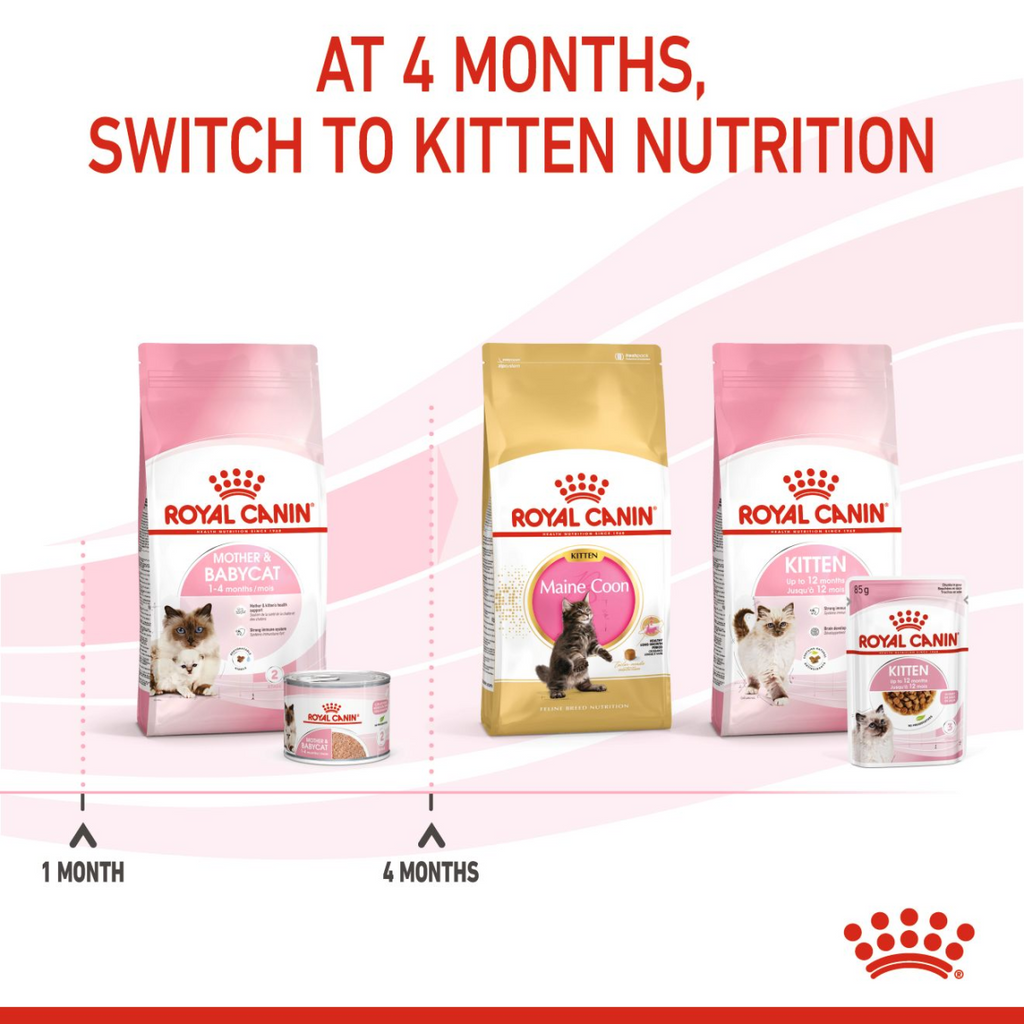 Feline Health Nutrition Mother & Babycat Mousse (WET FOOD – Cans) 12 x 195g