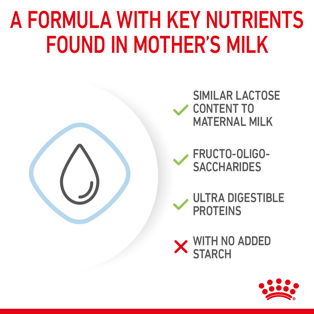 Size Health Nutrition Babydog Milk 400 g