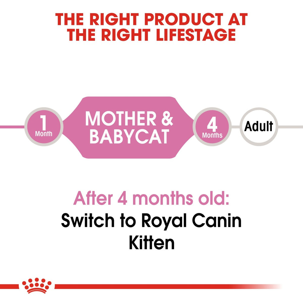 Feline Health Nutrition Mother & Babycat Mousse (WET FOOD – Cans) 12 x 195g