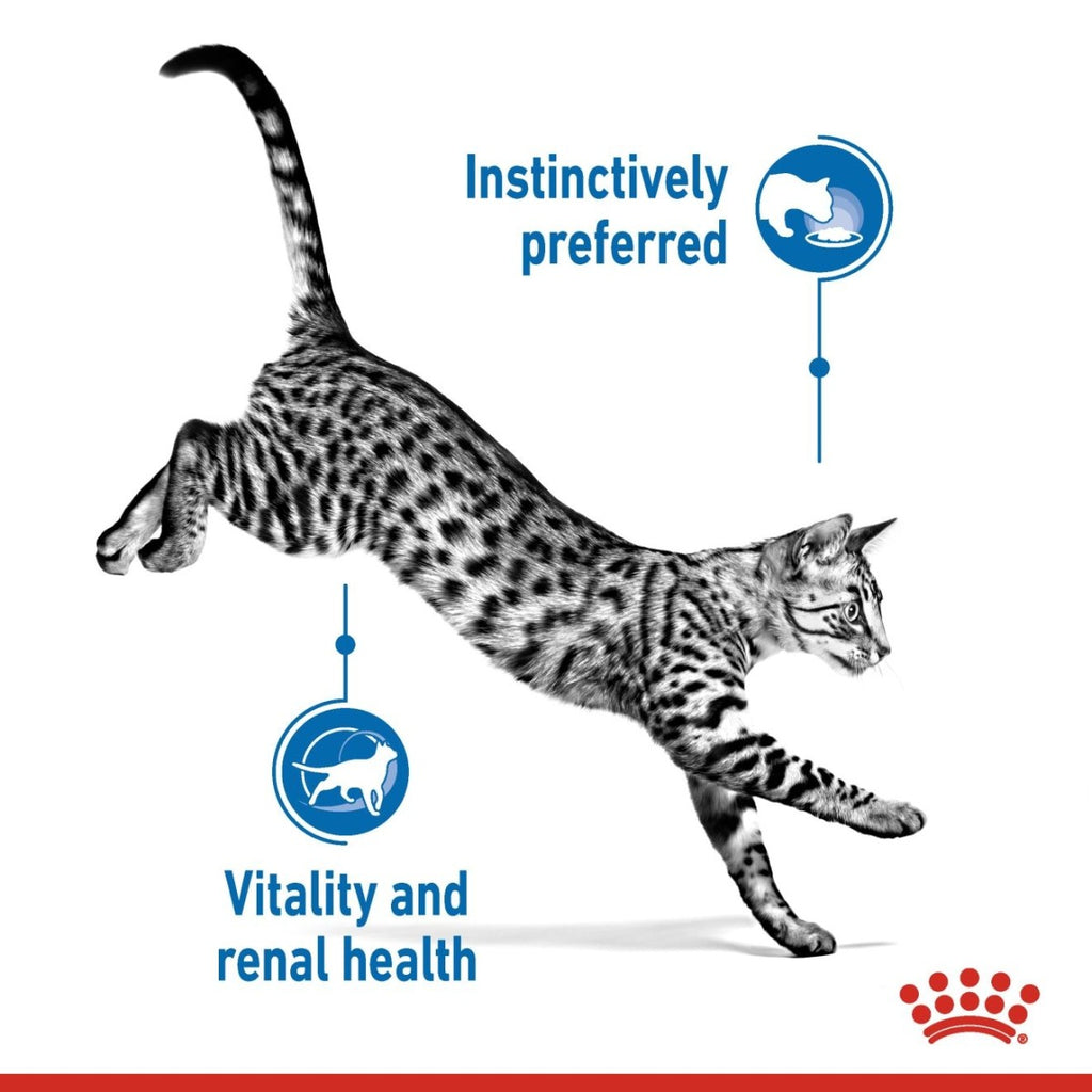 Feline Health Nutrition Indoor (WET FOOD – Pouches) 12 x 85g