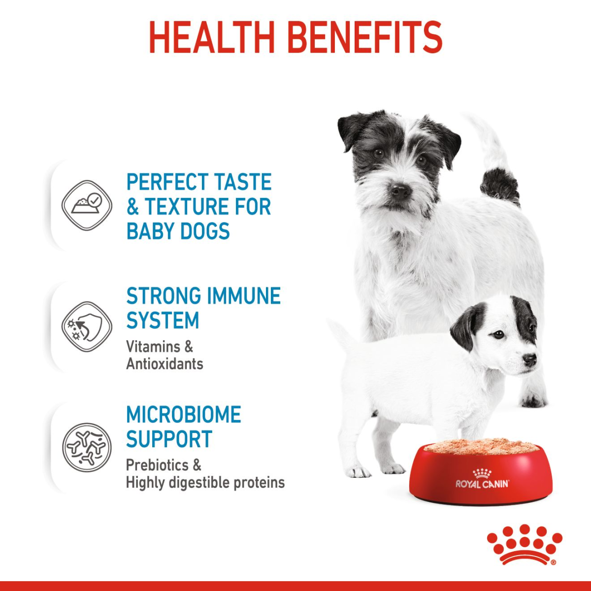 Royal Canin Canine Health Nutrition Starter Mousse (WET FOOD – Cans) 12 x 195g