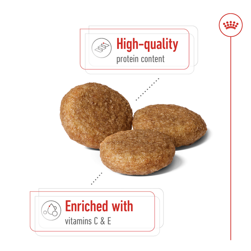 Royal Canin Size Health Nutrition Medium Adult 4 KG