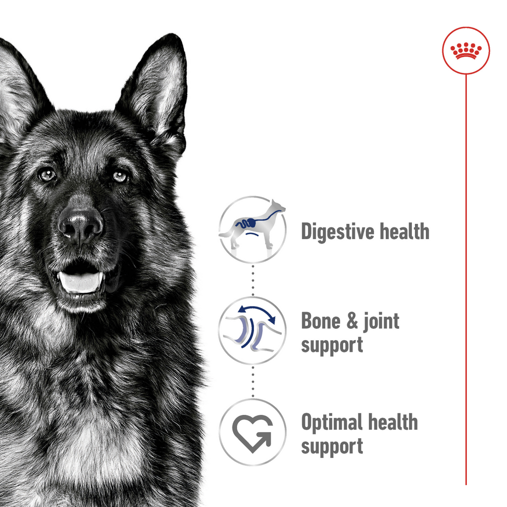 Royal Canin Size Health Nutrition Maxi Adult 10 KG
