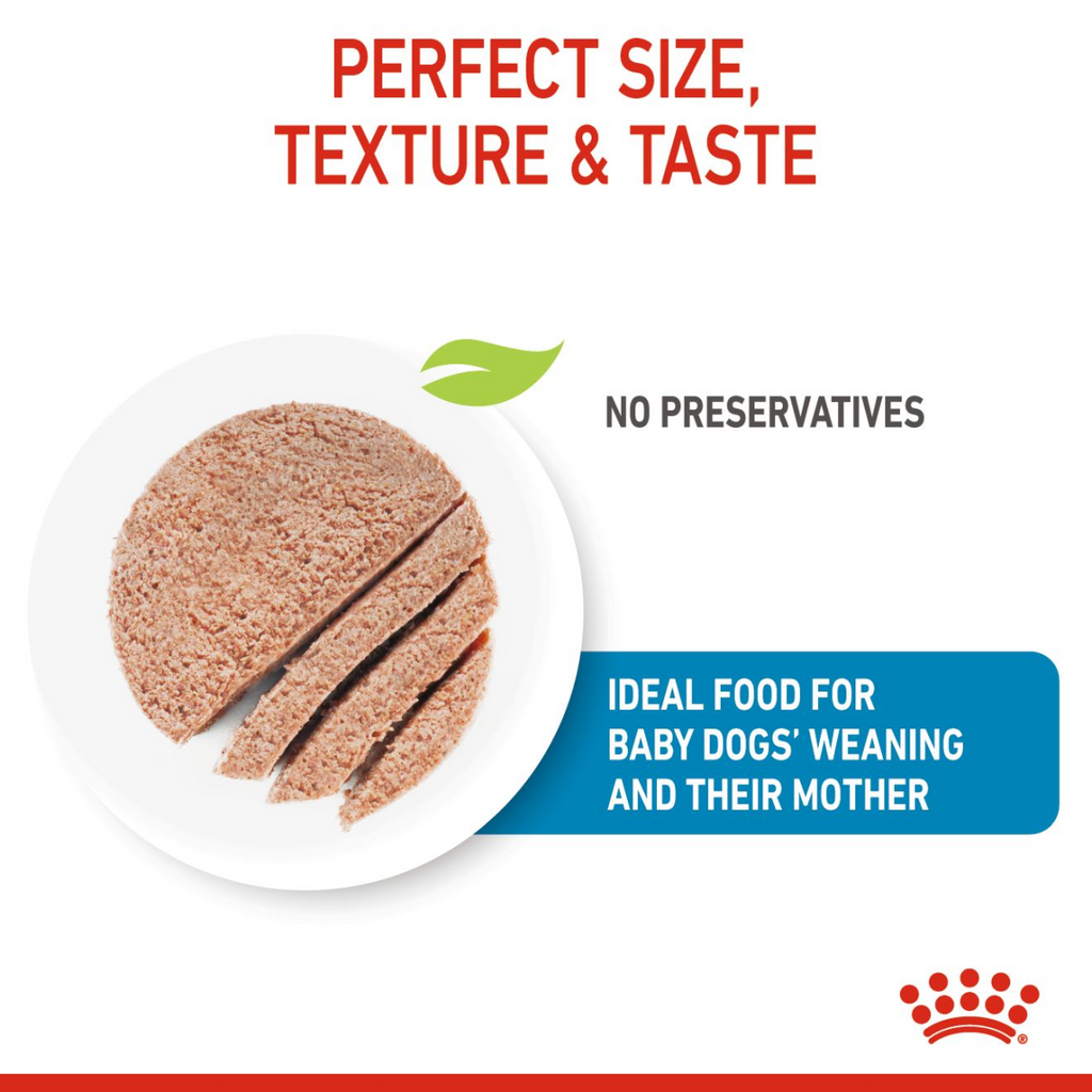 Royal Canin Canine Health Nutrition Starter Mousse (WET FOOD – Cans) 12 x 195g