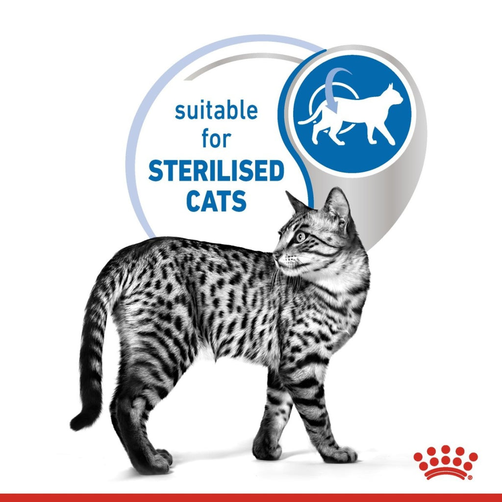 Feline Health Nutrition Indoor (WET FOOD – Pouches) 12 x 85g