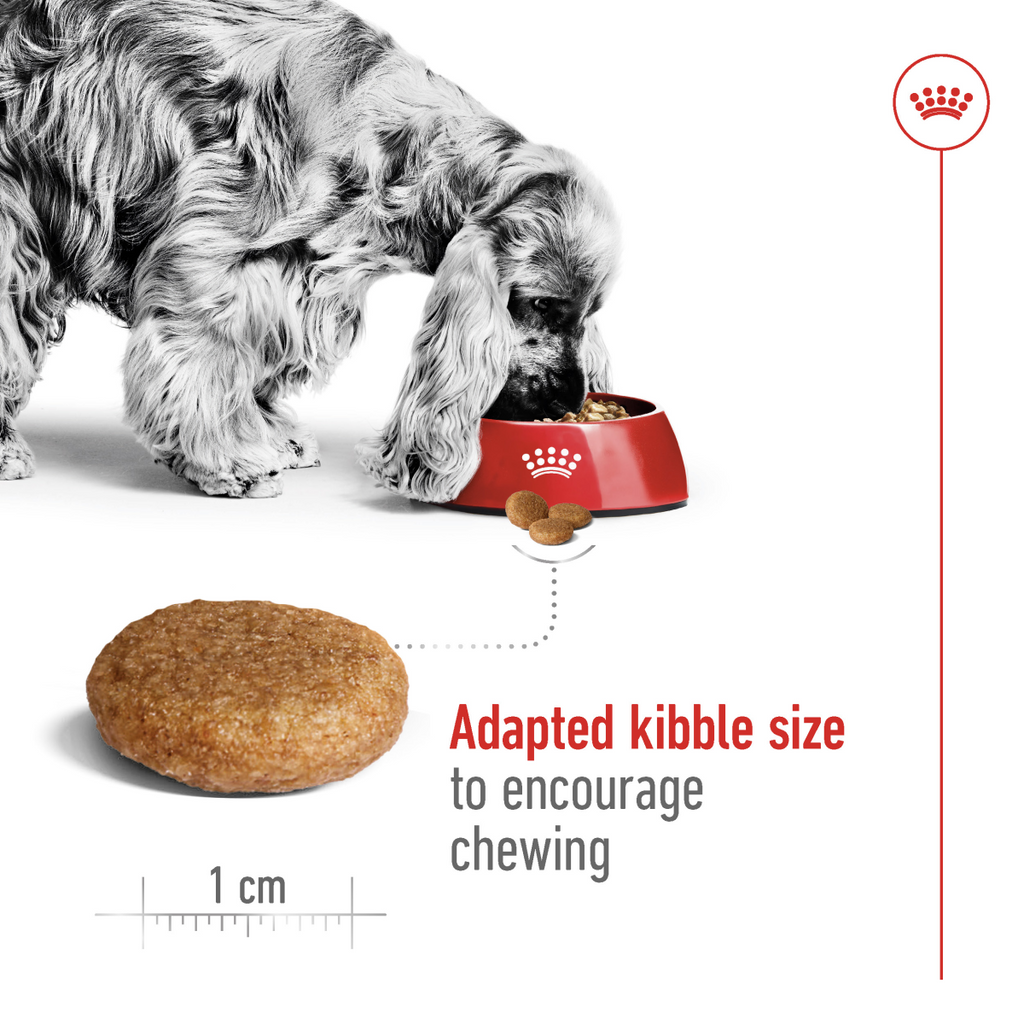 Royal Canin Size Health Nutrition Medium Adult 4 KG