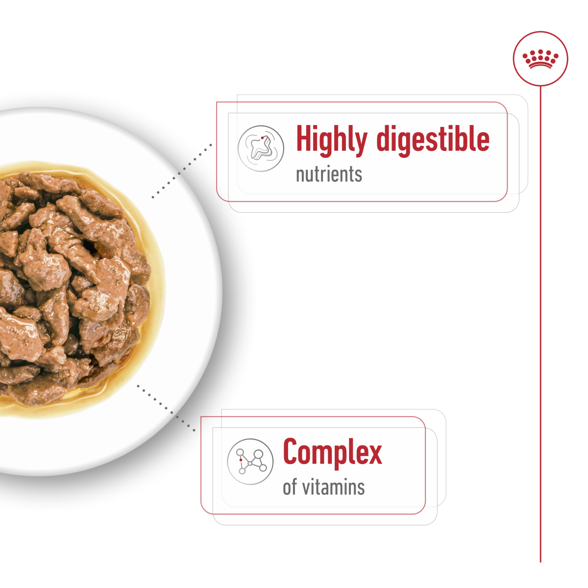 Royal Canin Size Health Nutrition Mini Adult (WET FOOD – Pouches) 12 x 85g