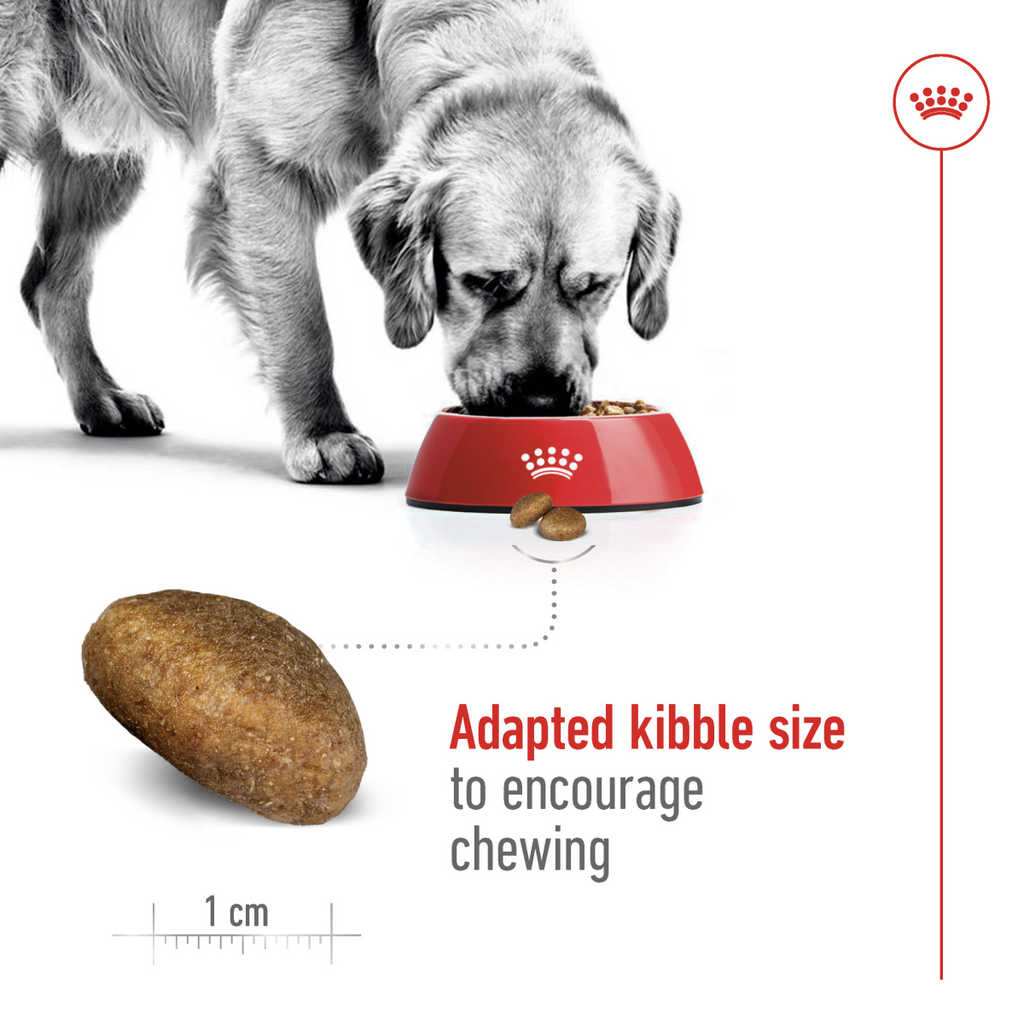 Royal Canin Size Health Nutrition Maxi Adult 10 KG