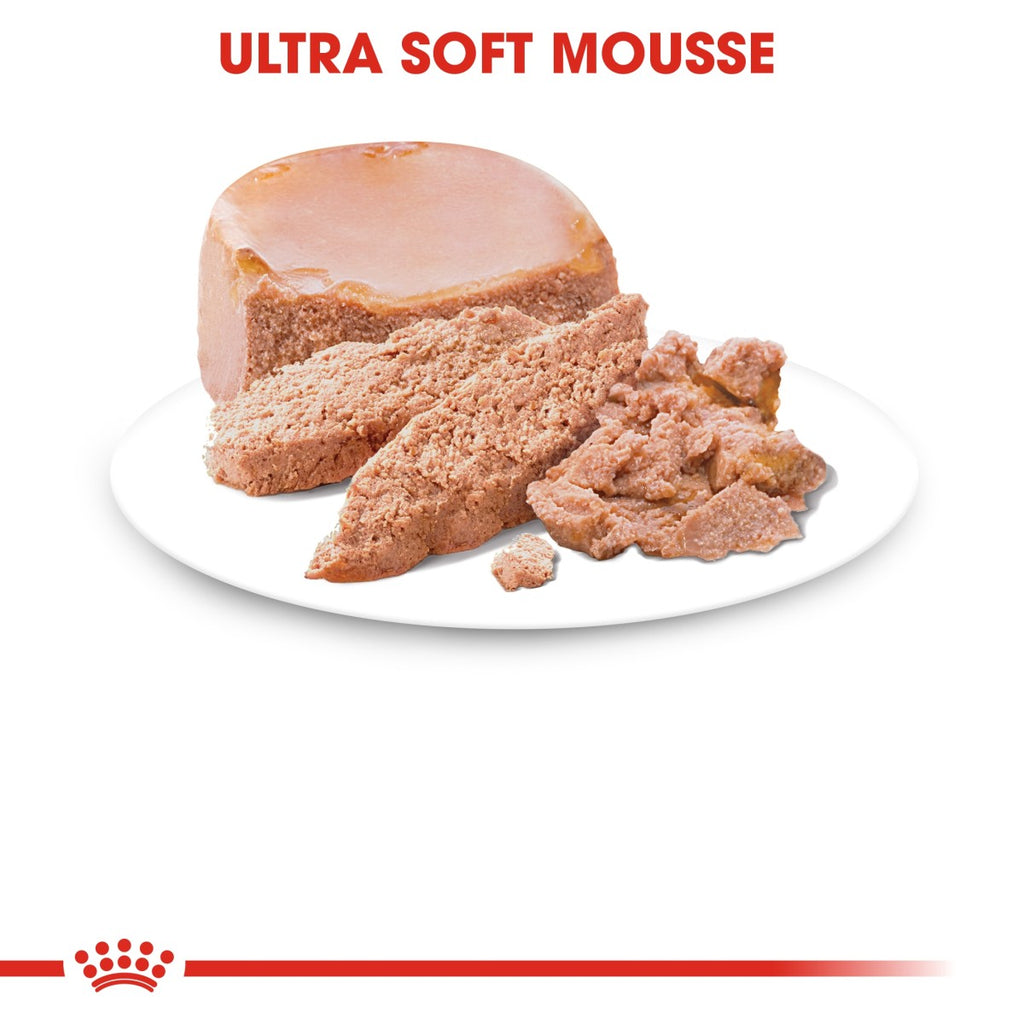 Feline Health Nutrition Mother & Babycat Mousse (WET FOOD – Cans) 12 x 195g