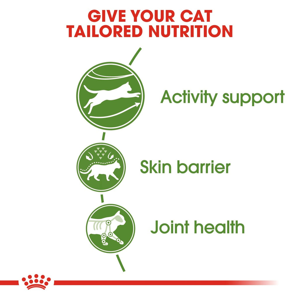 Feline Health Nutrition Outdoor 2 KG