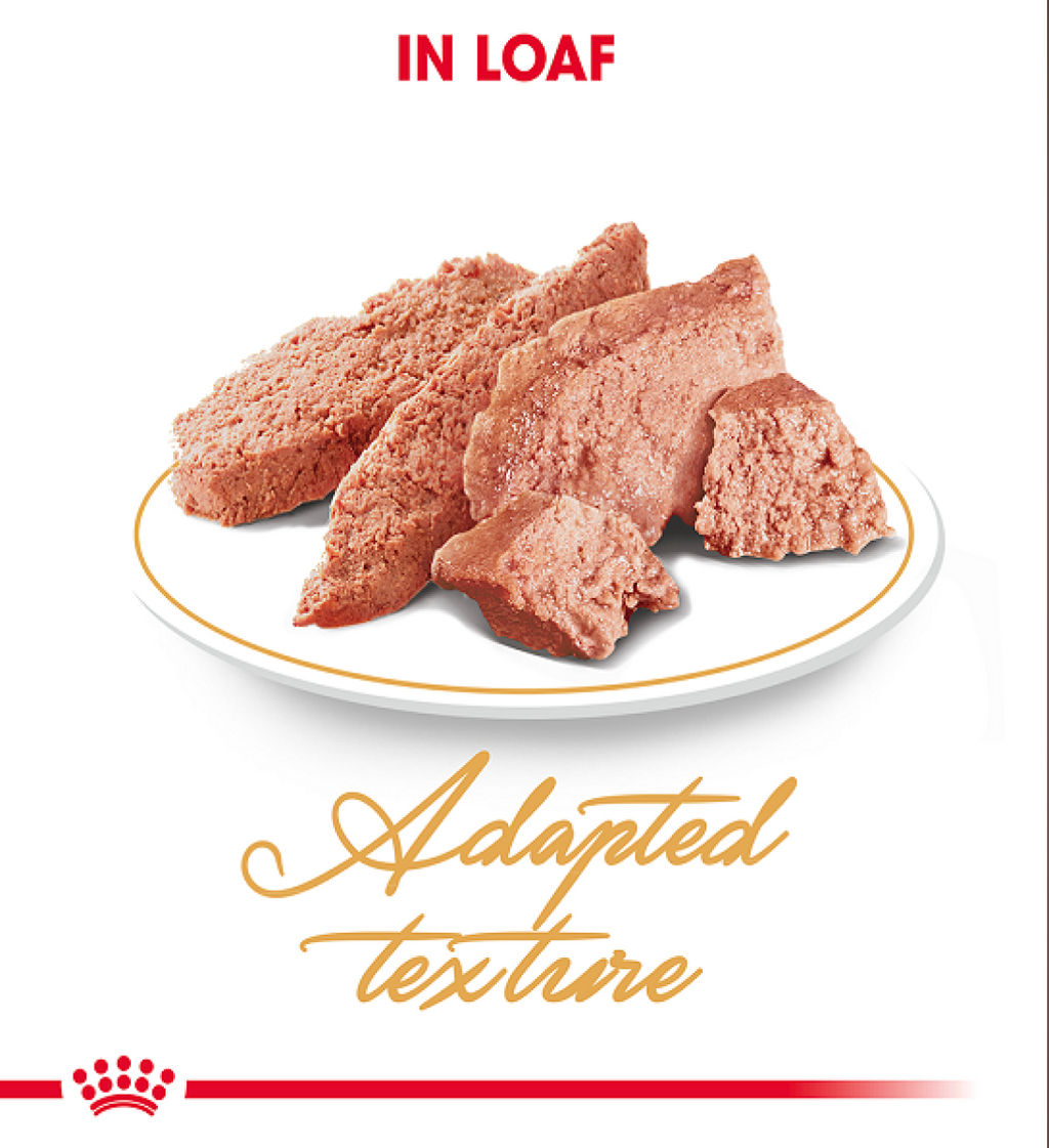 Feline Breed Nutrition Persian (WET FOOD – Pouches) 12 x 85g