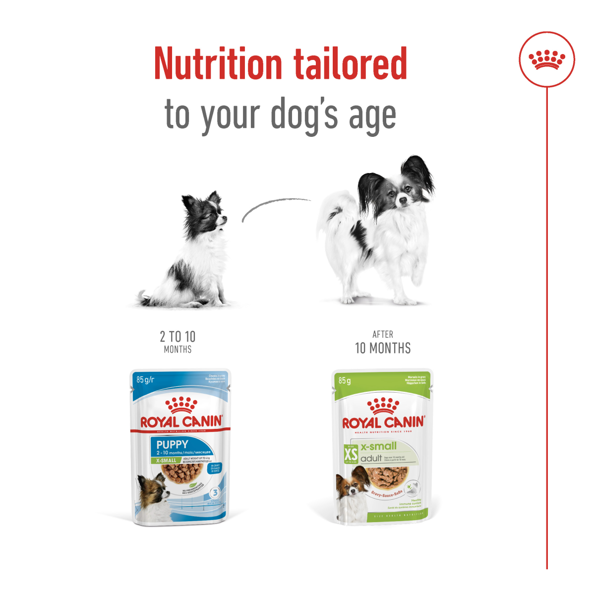 Royal Canin Size Health Nutrition XS Adult (Wet Food - Pouches) 12 x 85 g