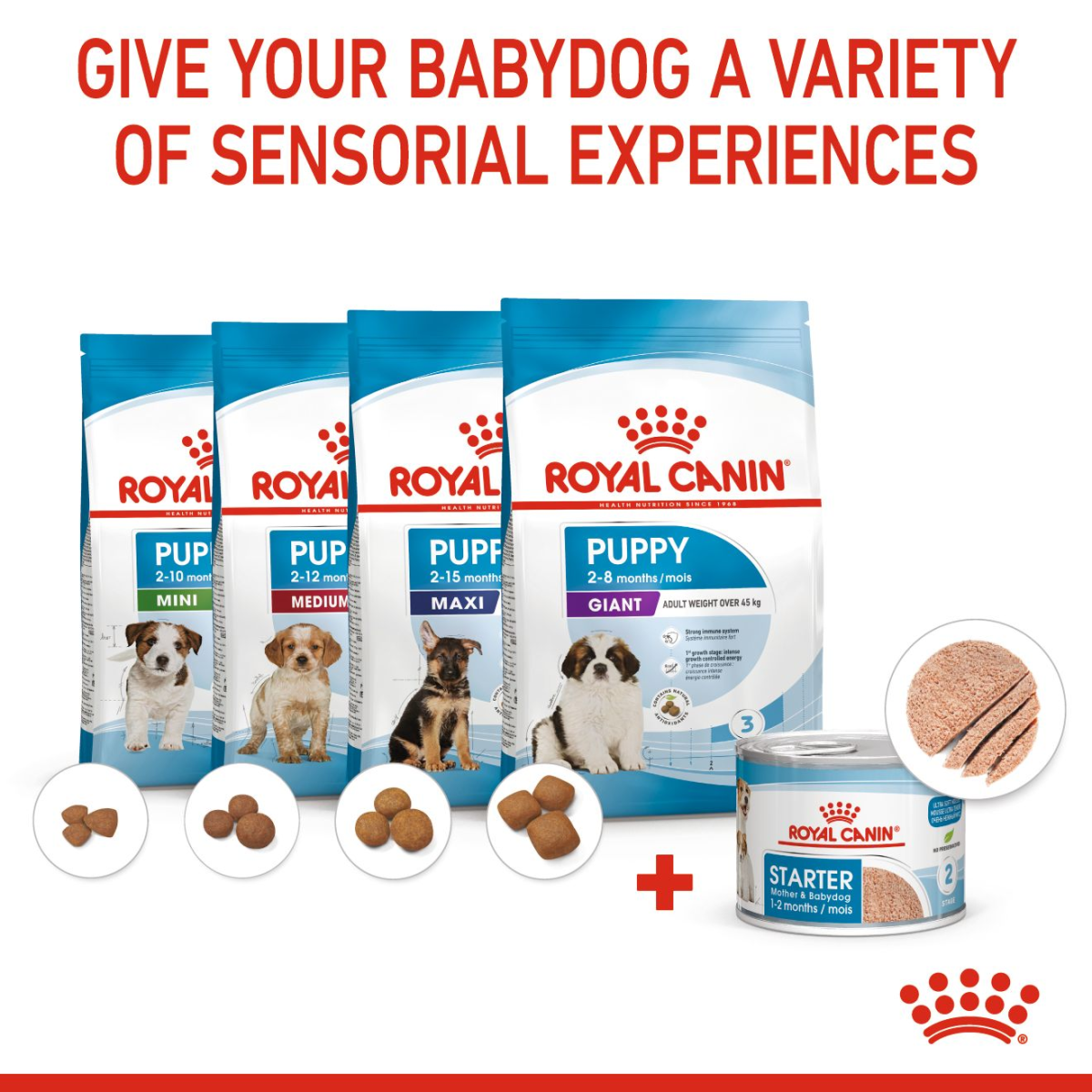 Royal Canin Canine Health Nutrition Starter Mousse (WET FOOD – Cans) 12 x 195g