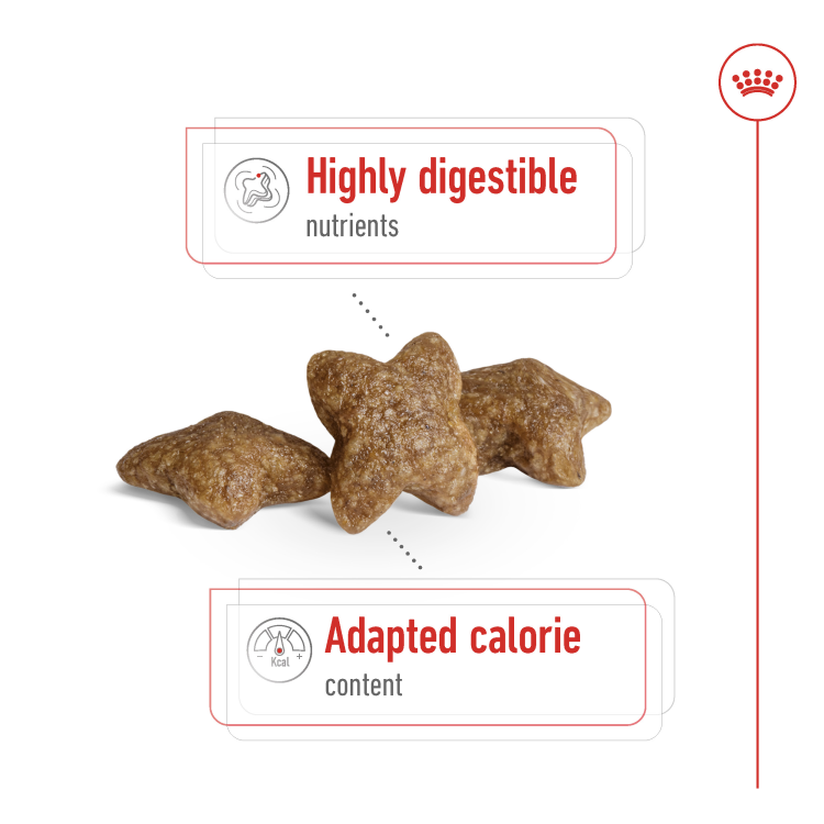 Royal Canin Size Health Nutrition Mini Adult 2 KG