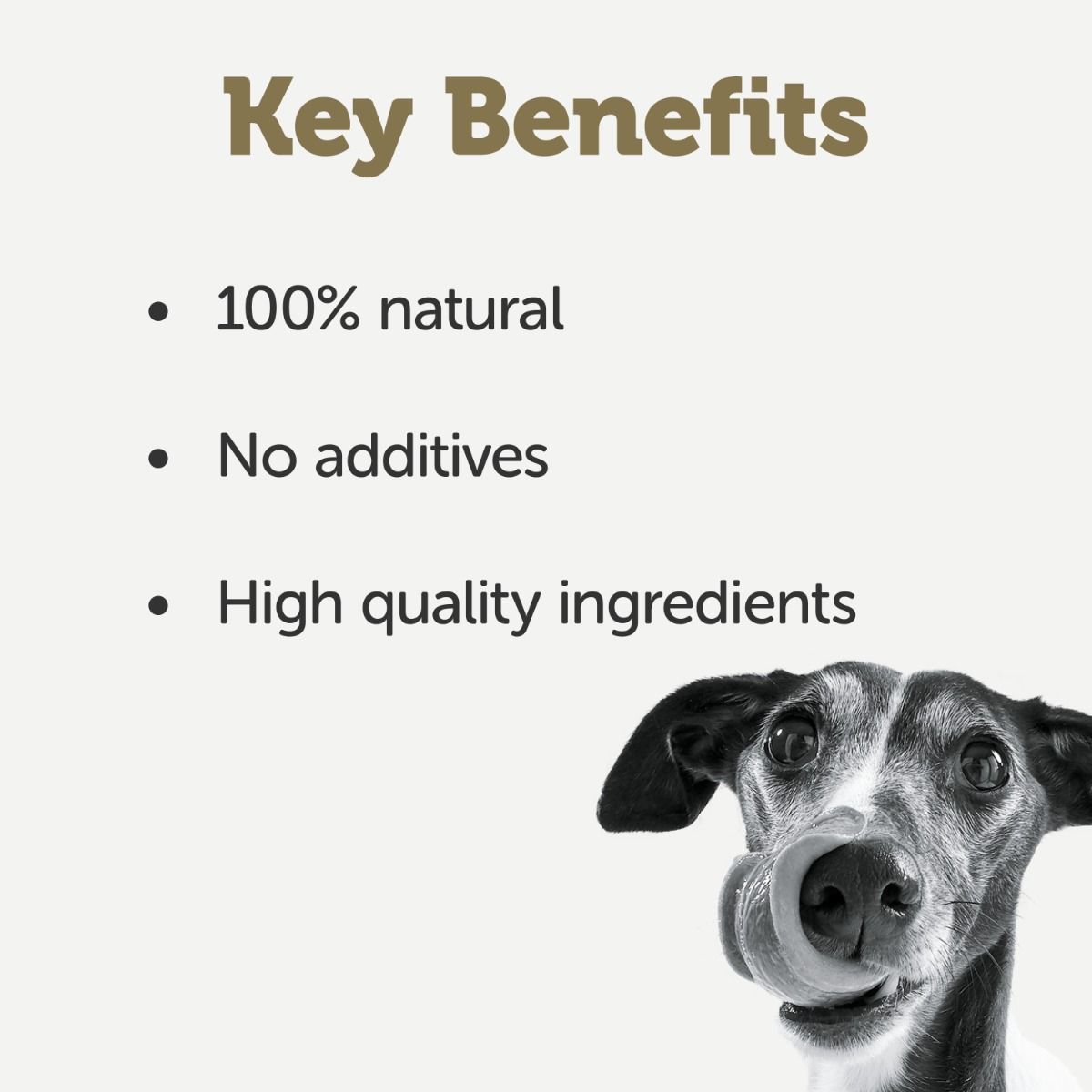 Applaws Taste Toppers in Broth Chicken with Beef Wet Dog Food 156g Tin