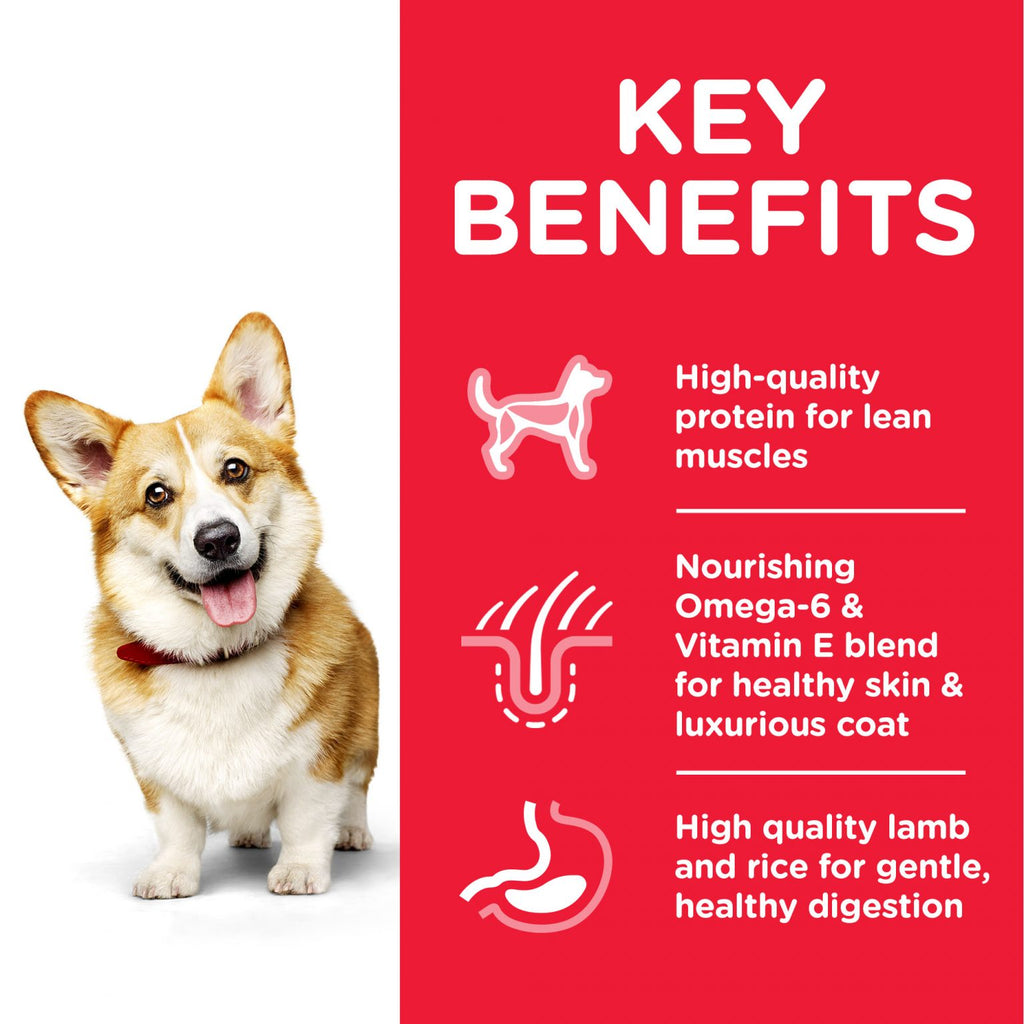 Hill’s Science Plan Small & Mini Adult Dog Food With Chicken (3kg)