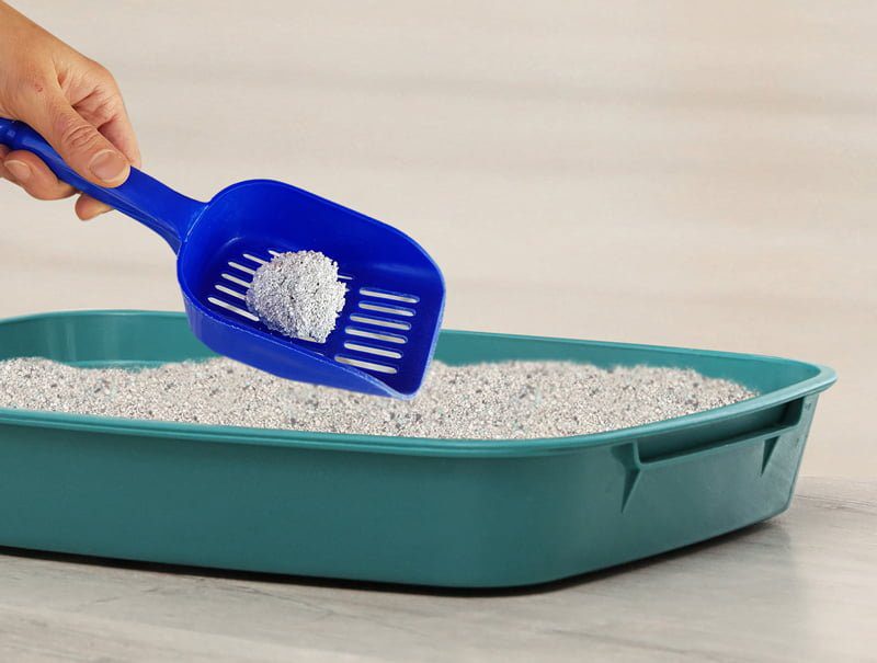 Kiki Kat Mountain Fresh - 5L White Bentonite Clumping Cat litter